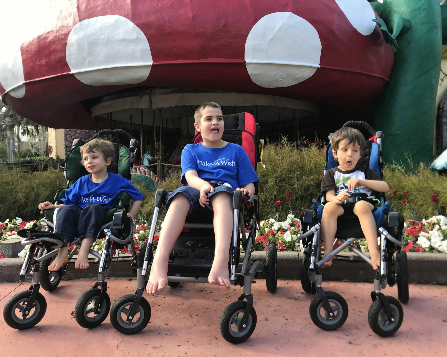 Three brothers in strollers at an amusement park.