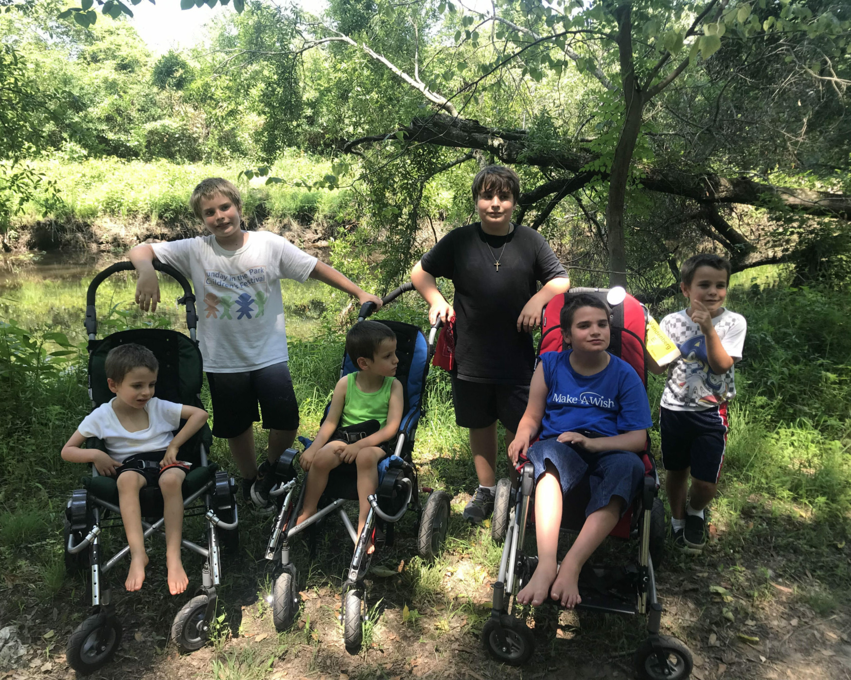 Three brothers in strollers and three more brothers pushing the strollers in the forest.