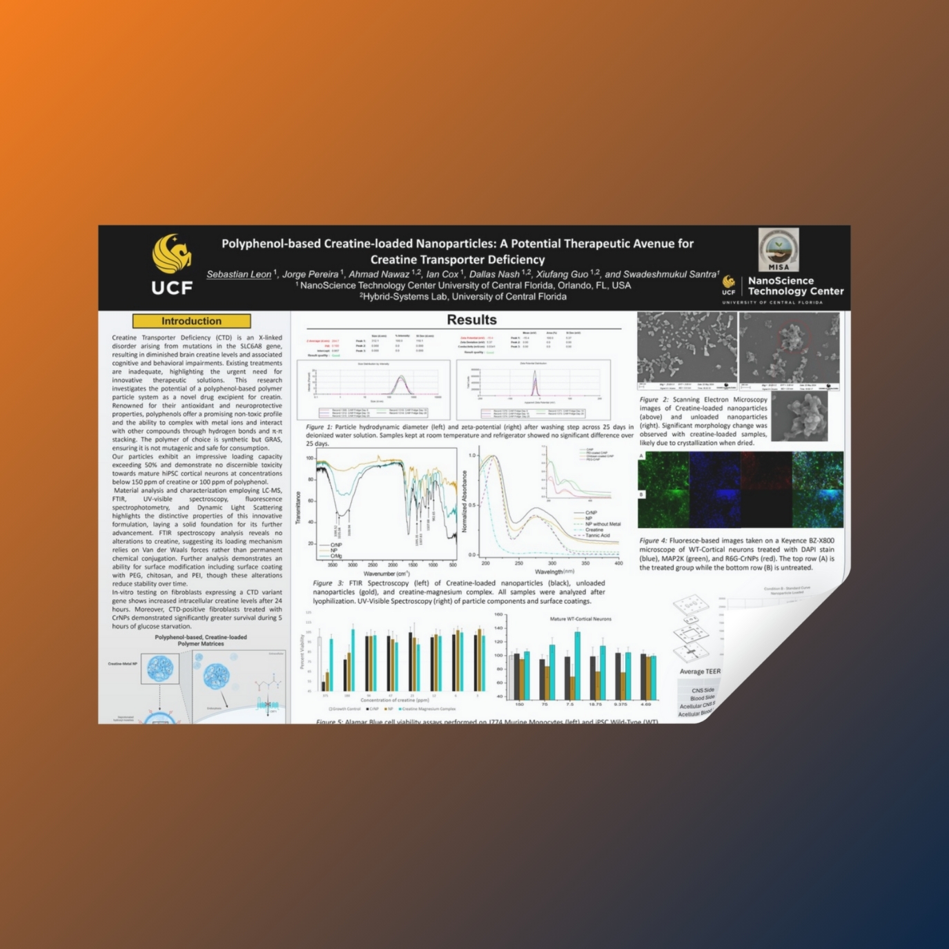 SLEON-poster-ACD-2024